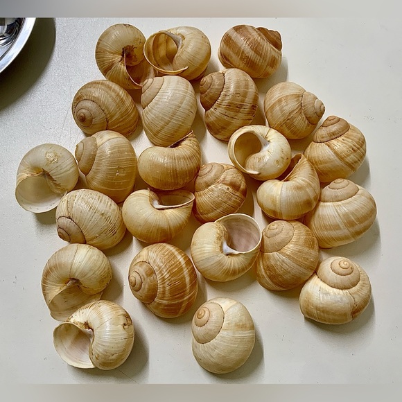 Mid Century Vintage Stainless Steel Escargot Appetizer Set for 4 - Picture 13 of 16